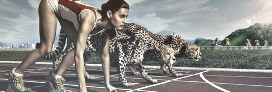banner-category